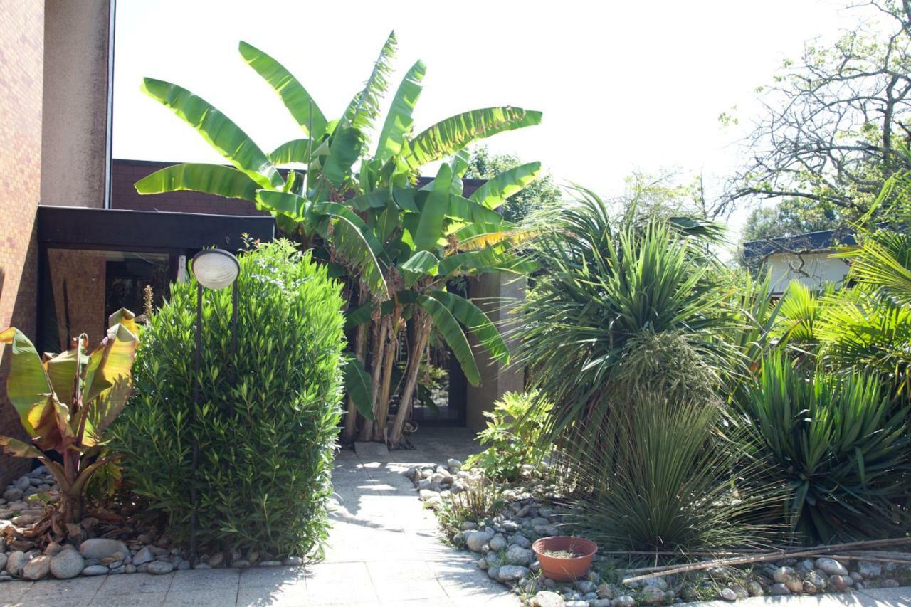 Villa Margaux Fargues-Saint-Hilaire 外观 照片