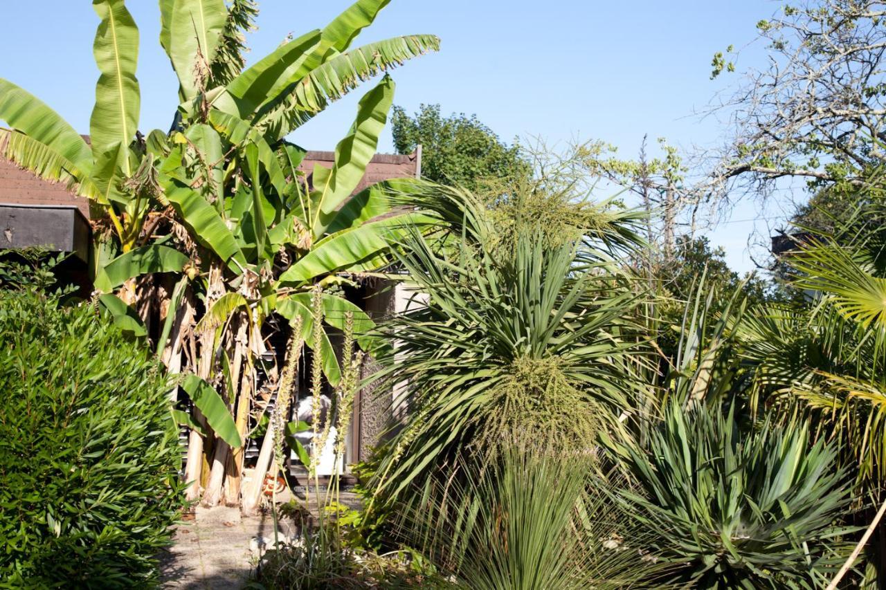 Villa Margaux Fargues-Saint-Hilaire 外观 照片